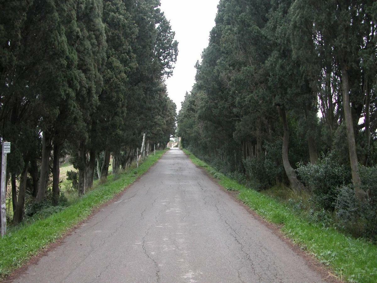 Fauglia Mulino A Ventoヴィラ エクステリア 写真