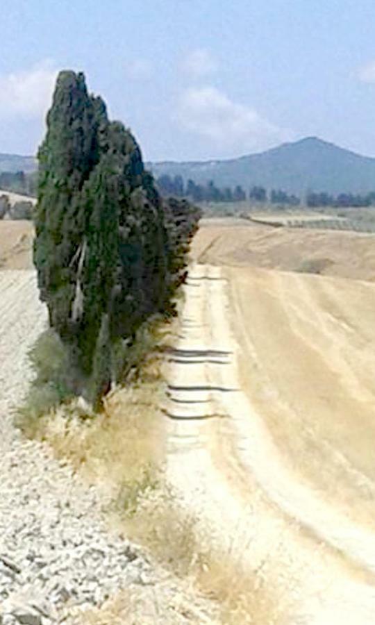 Fauglia Mulino A Ventoヴィラ エクステリア 写真